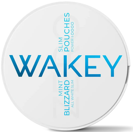 WAKEY Blizzard Mint 0 mg-Koffeinbeutel-Gigasnus.de