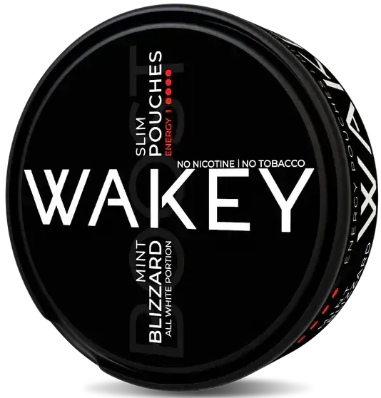 WAKEY Blizzard Mint 100 mg-Nikotinfreier Snus-Gigasnus.de