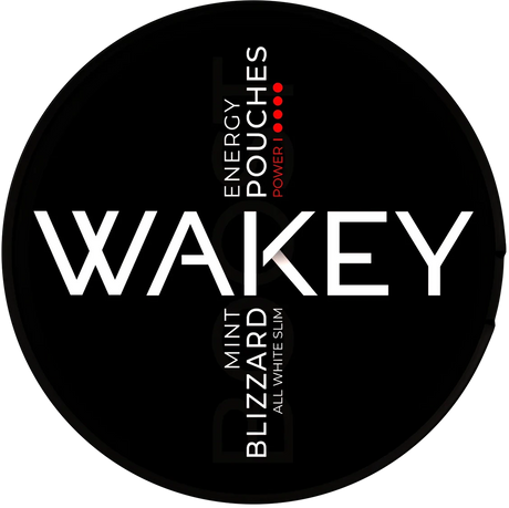 WAKEY Blizzard Mint 100 mg-Nikotinfreier Snus-Gigasnus.de