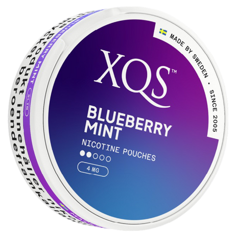 XQS Blueberry Mint Light-Nikotinbeutel-Gigasnus.de