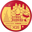 XQS Citrus Burning-Nikotinbeutel-gigasnus.de