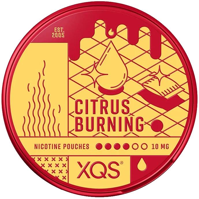 XQS Citrus Burning-Nikotinbeutel-gigasnus.de