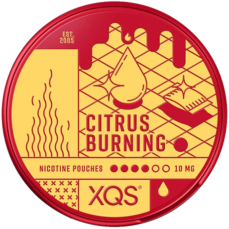 XQS Citrus Burning-Nikotinbeutel-gigasnus.de