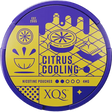 XQS Citrus Cooling-Nikotinbeutel-Gigasnus.de