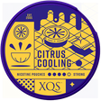 XQS Citrus Cooling Strong-Nikotinbeutel-Gigasnus.de