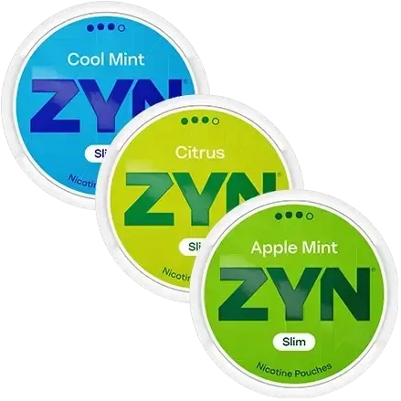 ZYN Mint & Fruit S3 Mix-Pack-Nikotinbeutel-Gigasnus.de