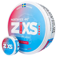 Z!xs North Ice Jumbo Can-Nikotinbeutel-Gigasnus.de