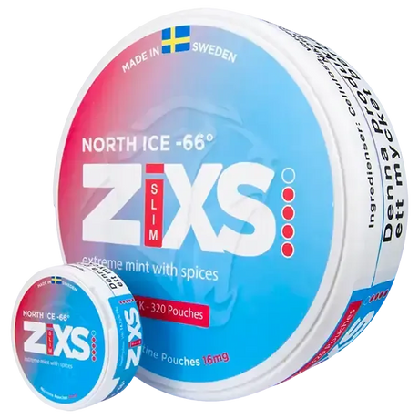 Z!xs North Ice Jumbo Can-Nikotinbeutel-Gigasnus.de