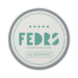 FEDRS ONLY Ice Spearmint-Nikotinbeutel-Gigasnus.de