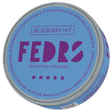 FEDRS ONLY Blueberry Hit-Nikotinbeutel-gigasnus.de