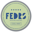 FEDRS ONLY Cool Mint-Nikotinbeutel-gigasnus.de